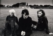 Skinny Puppy – Last Rights Skinny Puppy sitting in a field